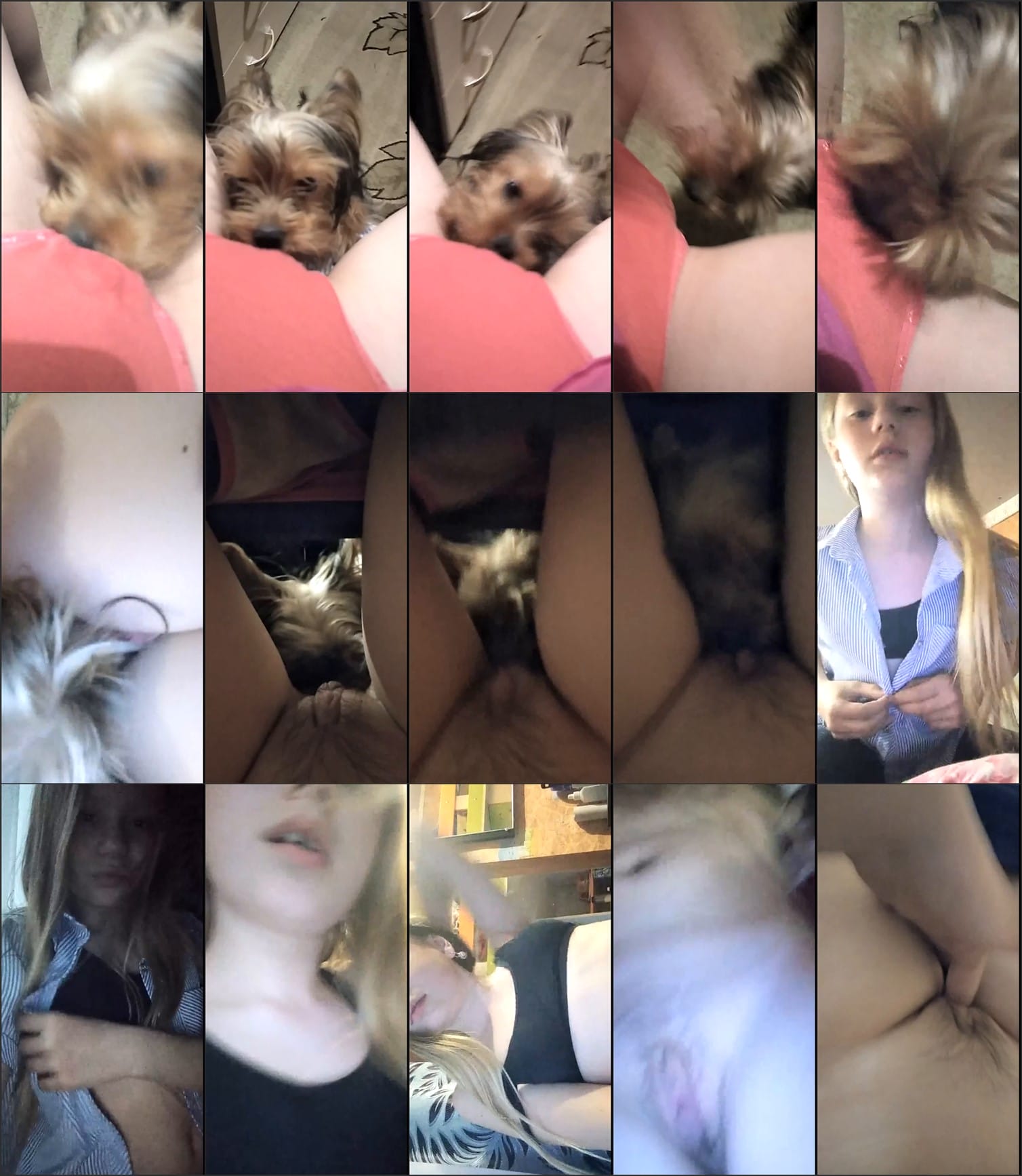 [Image: 2222.mp4.jpg]