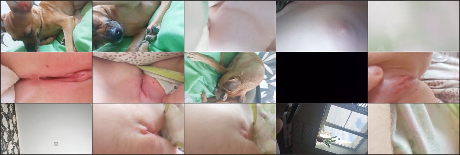 [Image: 3816.mp4.jpg]